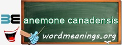 WordMeaning blackboard for anemone canadensis
